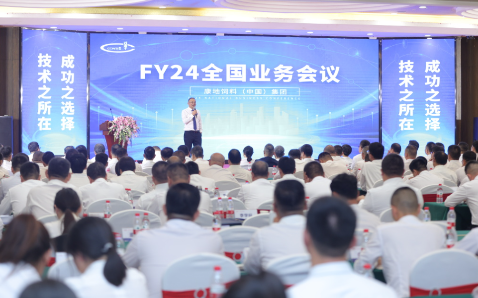 1702973702361578.png 11.png