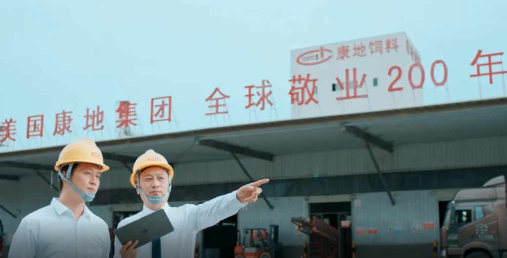 1726045221501905.png 1726045203936.png